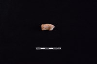 藏品(陶把)的圖片